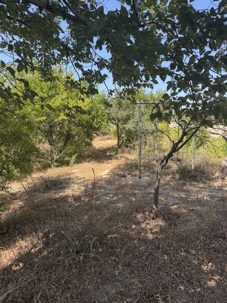 12 sot torpaq satılır, Pirşağı-8