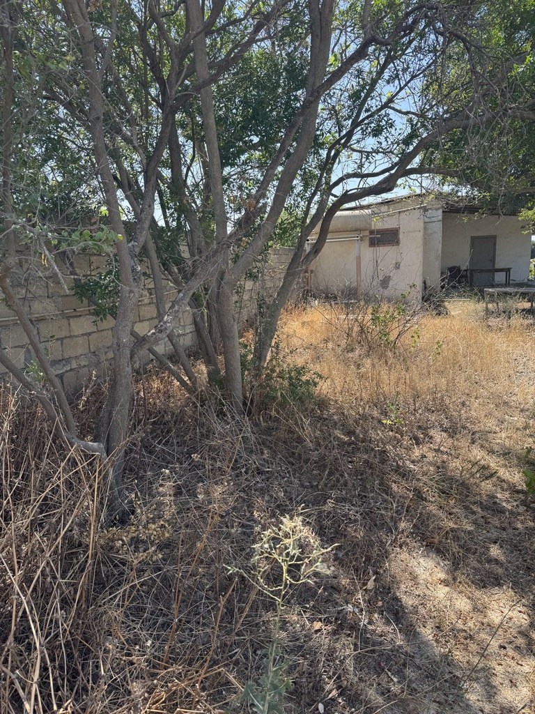 12 sot torpaq satılır, Pirşağı-12