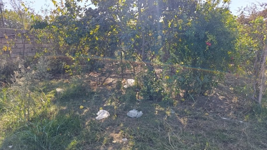 5.5 sot torpaq satılır, Sumqayıt-6