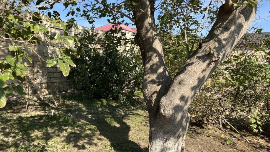 9 sot torpaq satılır, Saray-5