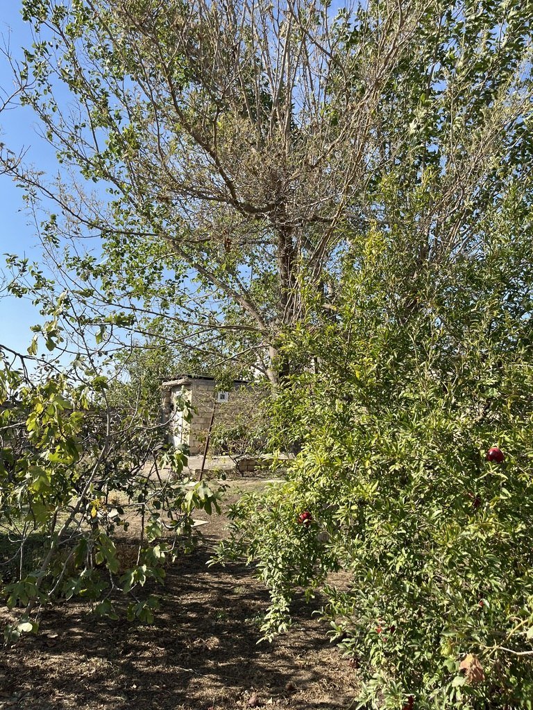 9 sot torpaq satılır, Saray-12