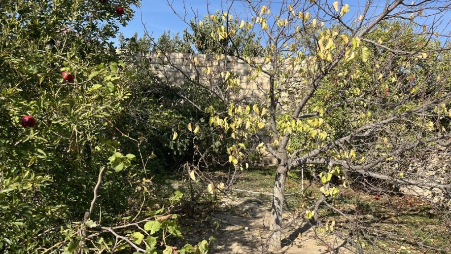 9 sot torpaq satılır, Saray-13