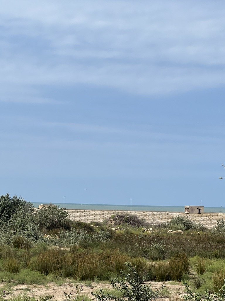 12 sot torpaq satılır, Fatmayı-2