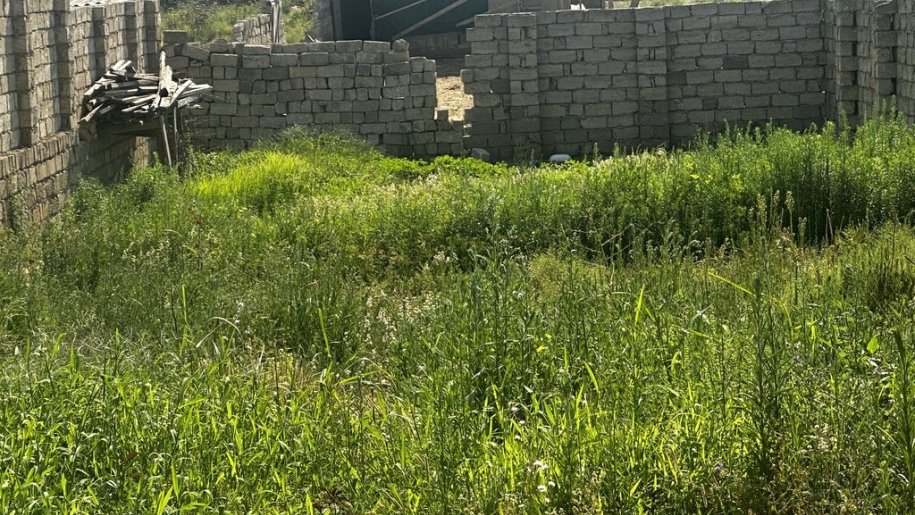 4 sot torpaq satılır, Zabrat-1