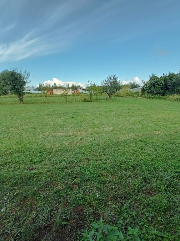 20 sot torpaq satılır, Zaqatala-2