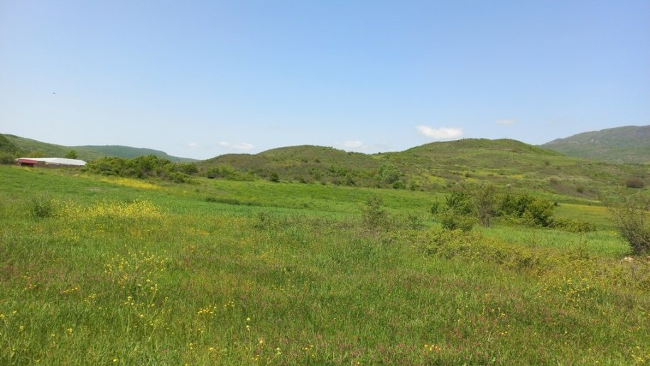 82 sot torpaq satılır, Şamaxı-6