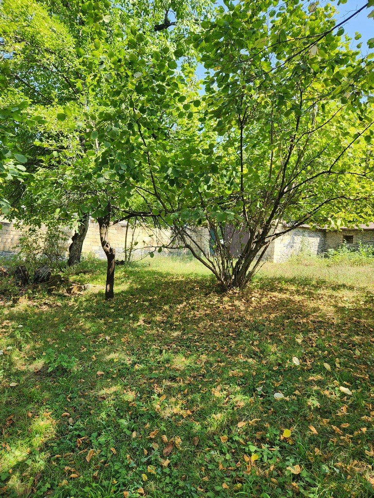 5 sot torpaq satılır, Qəbələ-1