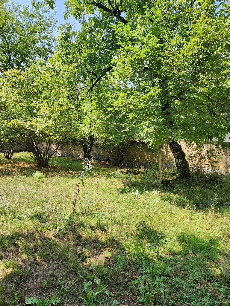 5 sot torpaq satılır, Qəbələ-7
