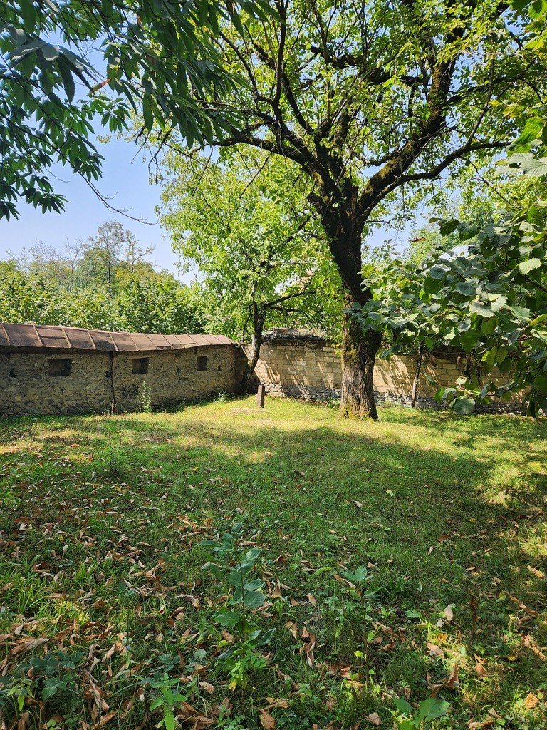 5 sot torpaq satılır, Qəbələ-8