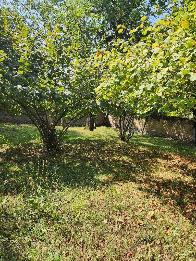 5 sot torpaq satılır, Qəbələ-9