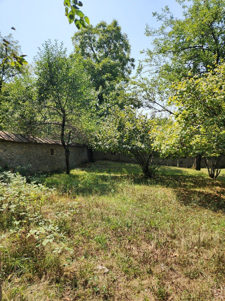 5 sot torpaq satılır, Qəbələ-10