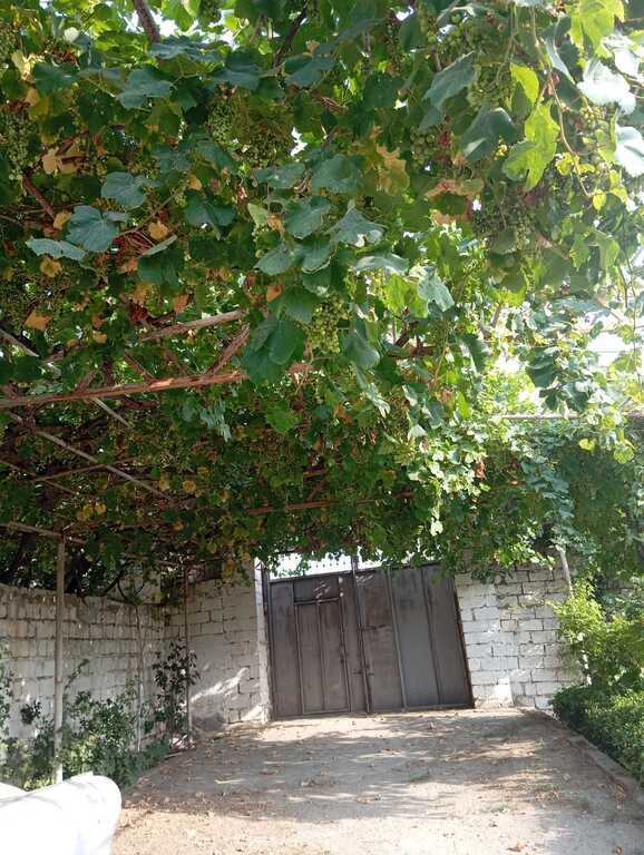 22 sot torpaq satılır, Novxanı-2