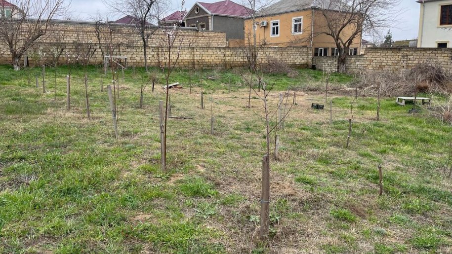 15 sot torpaq satılır, Sumqayıt-2
