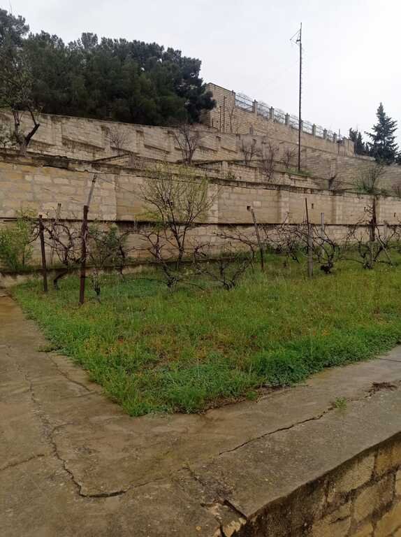 6 sot torpaq satılır, Xalqlar dostluğu m.-1