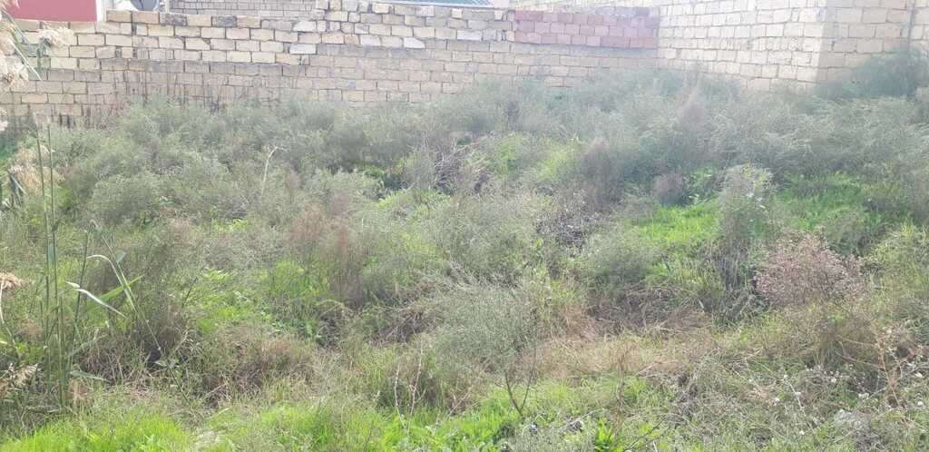 3 sot torpaq satılır, Zabrat-3
