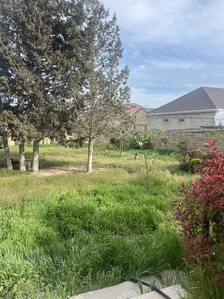 2 sot torpaq satılır, Hökməli-3