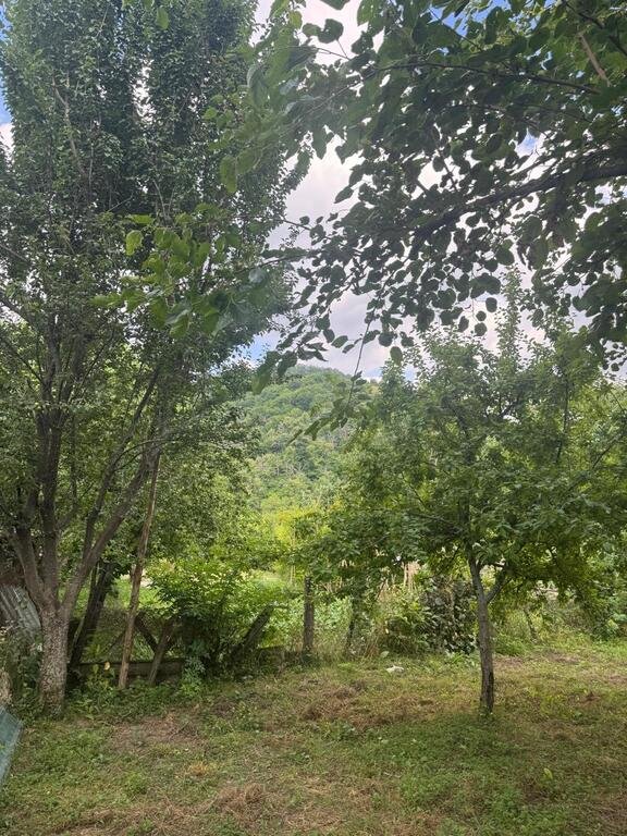 13 sot torpaq satılır, Qəbələ-1
