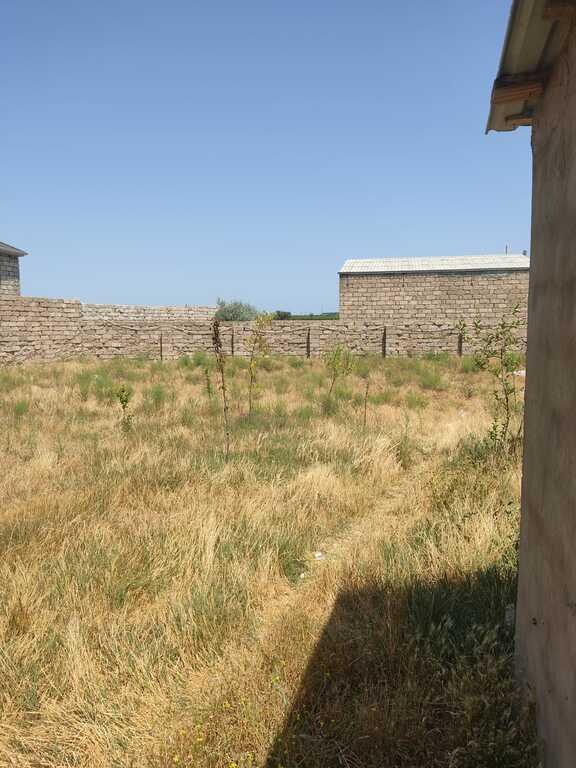 4 sot torpaq satılır, Qala-1
