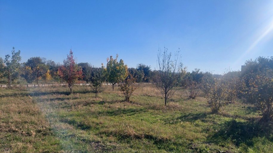 10 sot torpaq satılır, Ağstafa-11