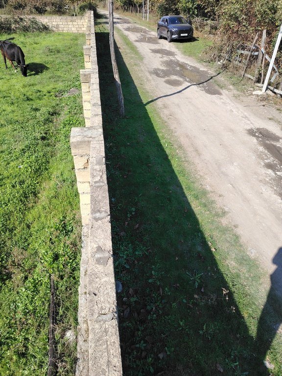 30 sot torpaq satılır, Qəbələ-6