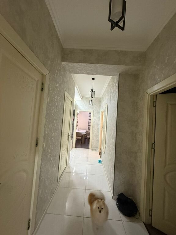 Satılır 3 otaqlı yeni tikili, 100 m², Badamdar-6