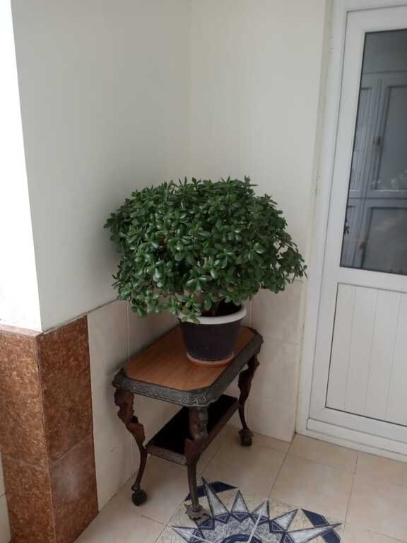 Kirayə verilir 2 otaqlı yeni tikili, 90 m², Nizami m.-15