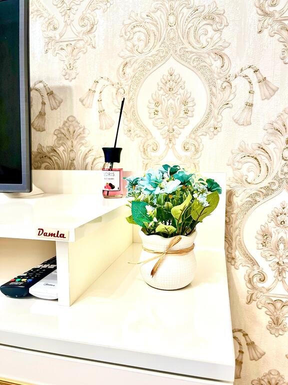 Kirayə verilir 2 otaqlı yeni tikili, 70 m², Gənclik m.-9