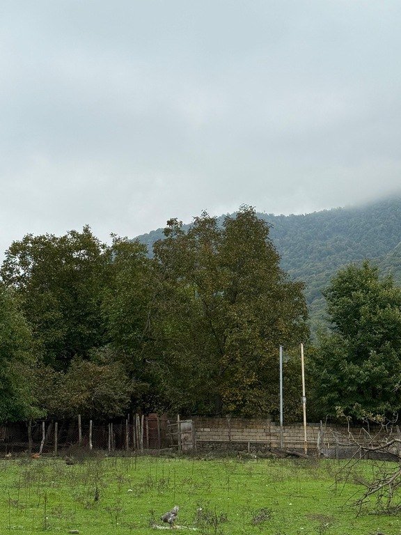 28 sot torpaq satılır, Qəbələ-4