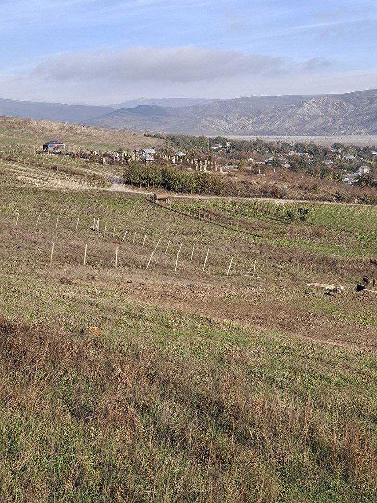 12 sot torpaq satılır, Şamaxı-1