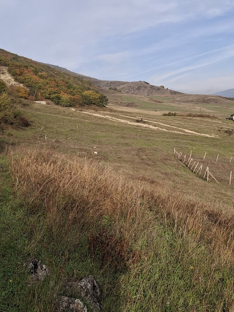 12 sot torpaq satılır, Şamaxı-4