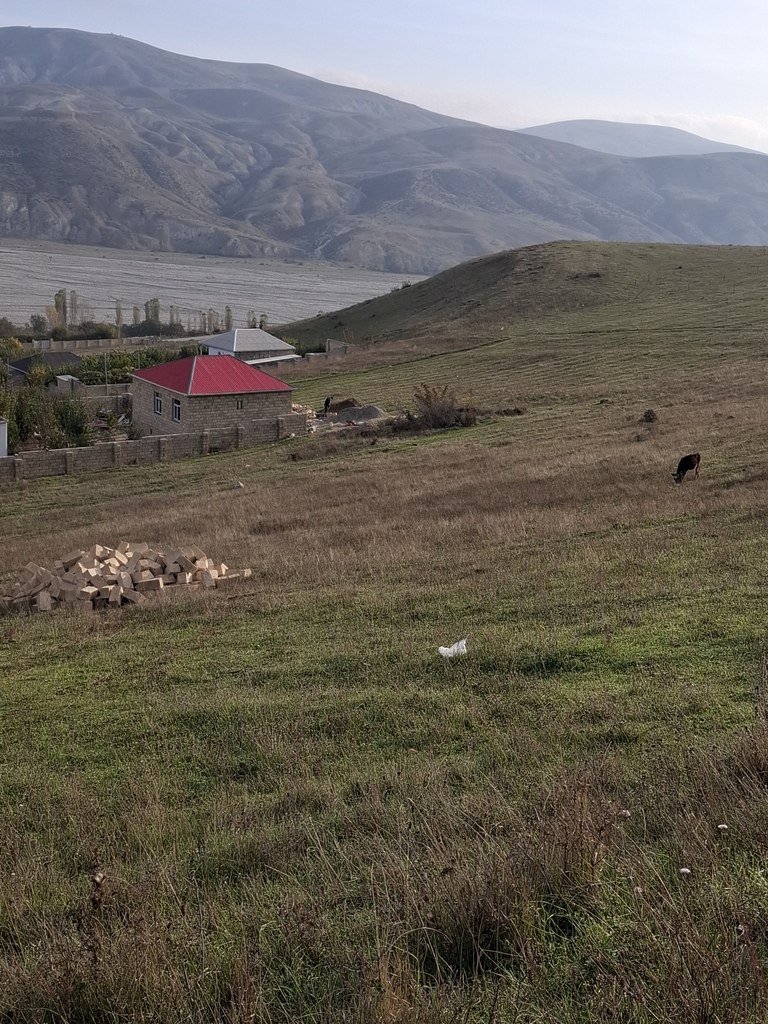 12 sot torpaq satılır, Şamaxı-8