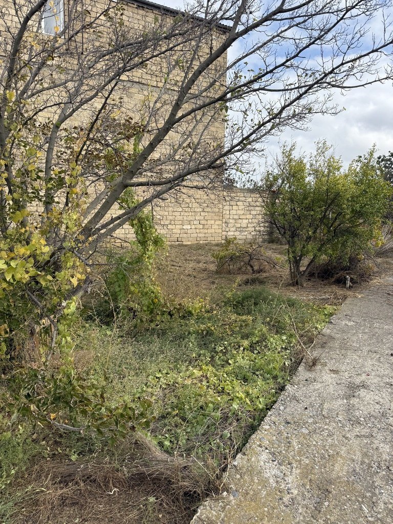 10 sot torpaq satılır, Novxanı-4