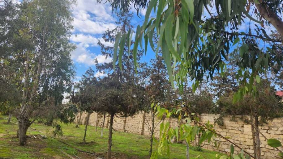 6 sot torpaq satılır, Şüvəlan-1