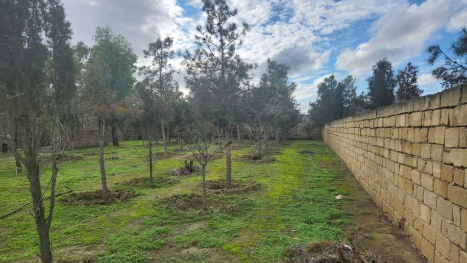 6 sot torpaq satılır, Şüvəlan-3