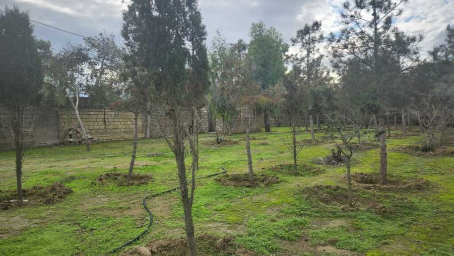 6 sot torpaq satılır, Şüvəlan-4