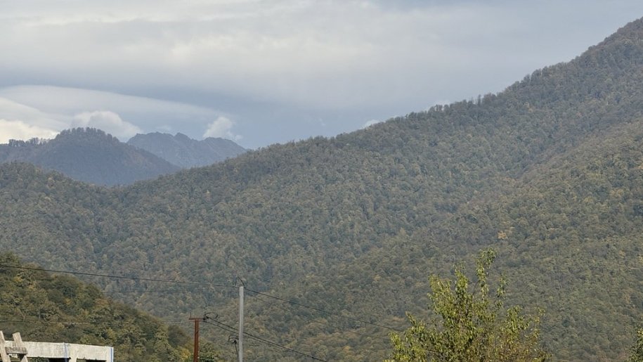 6 sot torpaq satılır, Qəbələ-2