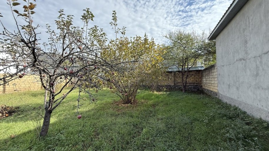 6 sot torpaq satılır, Qəbələ-5