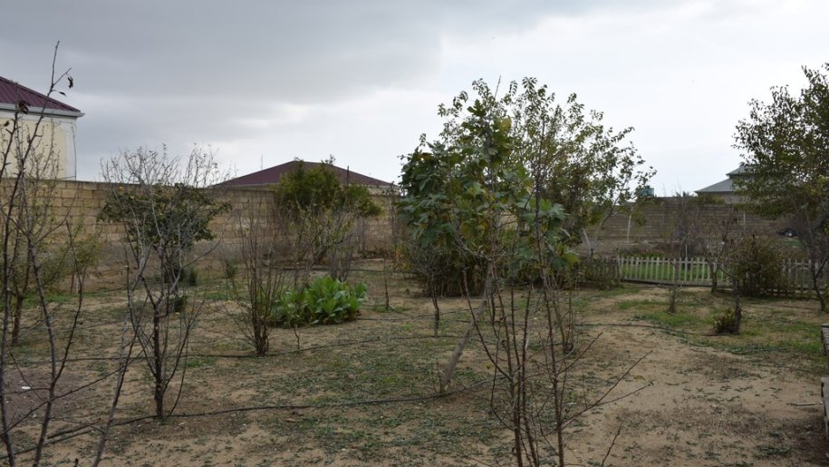 10 sot torpaq satılır, Türkan-5