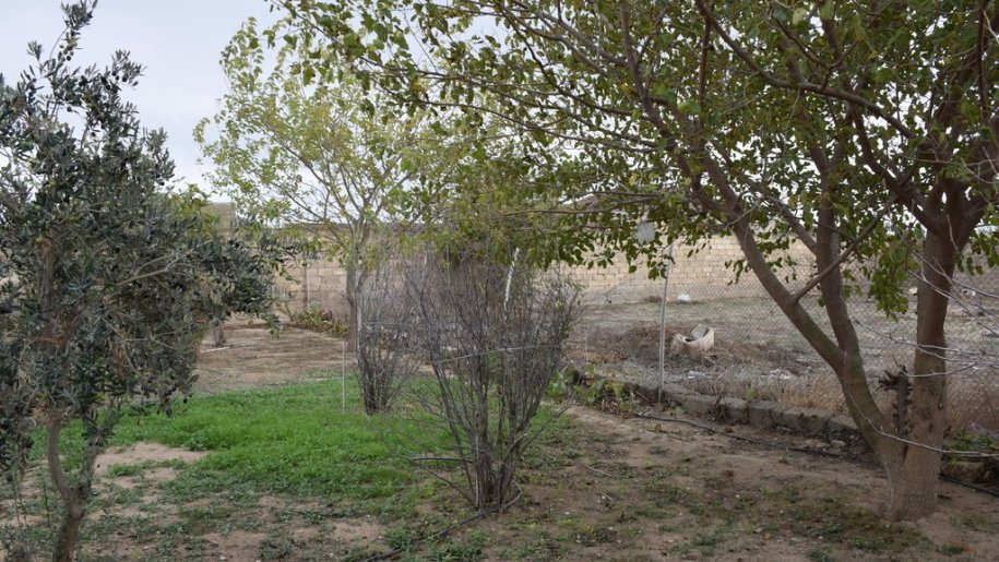 10 sot torpaq satılır, Türkan-8