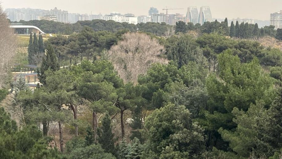 Satılır 3 otaqlı yeni tikili, 150 m², Badamdar-13