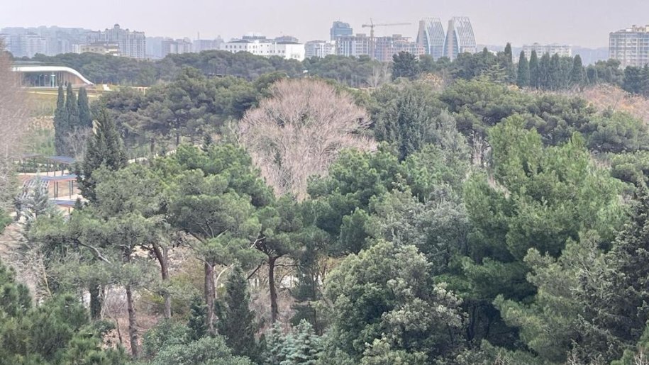 Satılır 3 otaqlı yeni tikili, 150 m², Badamdar-14