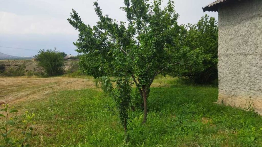 18 sot torpaq satılır, Qəbələ-2