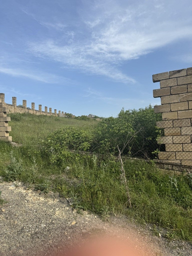 12 sot torpaq satılır, Şamaxı-2