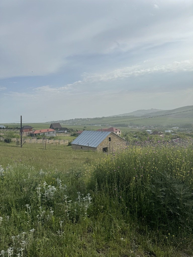 12 sot torpaq satılır, Şamaxı-7