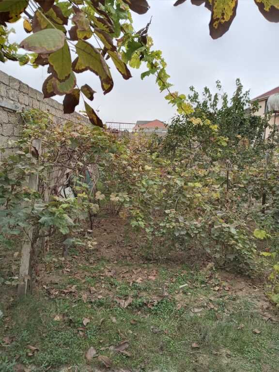 6 sot torpaq satılır, Sabunçu-5