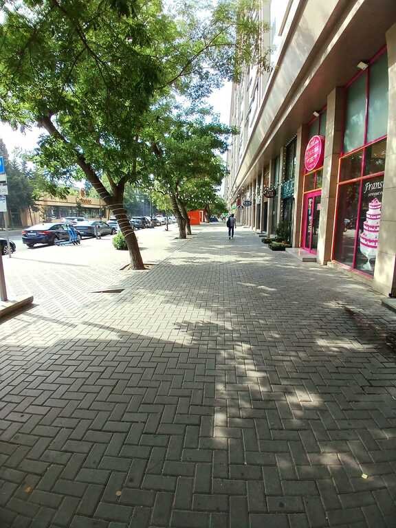 Kirayə verilir 2 otaqlı yeni tikili, 65 m², Gənclik m.-2