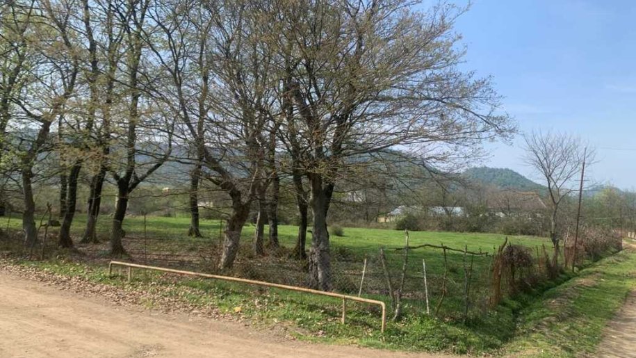50 sot torpaq satılır, Lənkəran-4