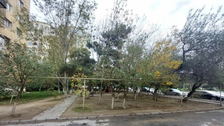 30 m<sup>2</sup> ofis icarəyə verilir, Neftçilər m.-1