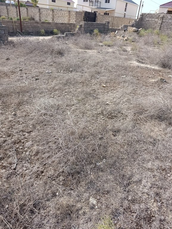 6 sot torpaq satılır, Türkan-4