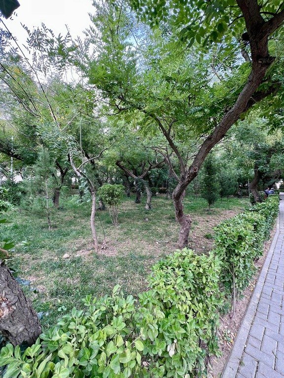 Satılır 3 otaqlı köhnə tikili, 85 m², Həzi Aslanov m.-6